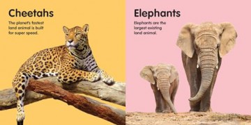 Zoo Animals: Board book [KSIĄŻKA]