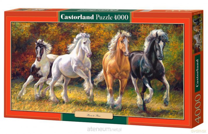 Puzzle 4000 Born to Run CASTOR 128382 [PUZZLE]