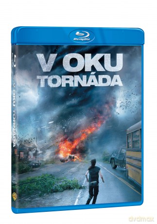 Into the Storm [Blu-Ray]