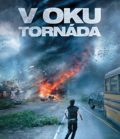 Into the Storm [Blu-Ray]
