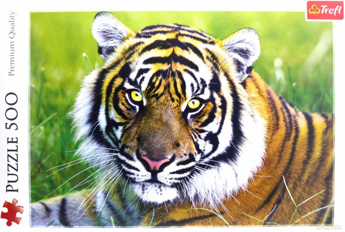 TREFL 500 el. Tygrys [PUZZLE]