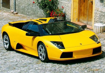 Puzzle 54 mini Lamborghini 2 TREFL [PUZZLE]