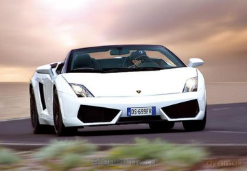 TREFL Puzzle 54 mini Lamborghini 4 [PUZZLE]