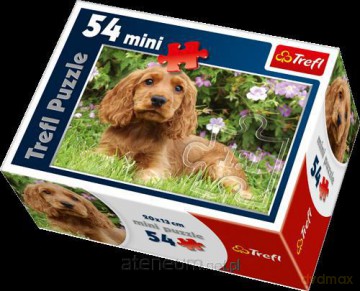 Puzzle 54 mini Słodkie pupile 2 TREFL [PUZZLE]