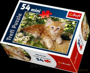 Puzzle 54 mini Słodkie pupile 3 TREFL [PUZZLE]