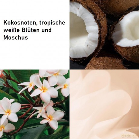 Body cream Green Tea Coconut Breeze Honey Drops Body Cream 500 ml