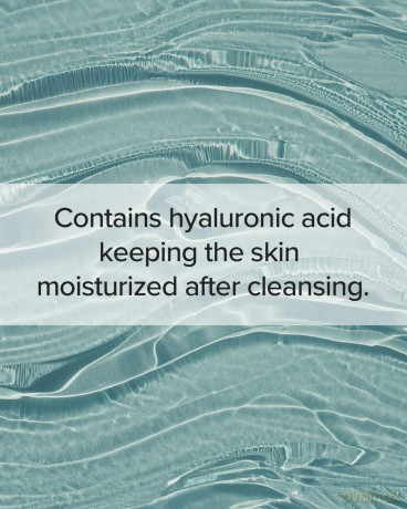 Cleansing foam for problematic skin Houttuynia Cordata + Tea Tree Cleansing Foam 150 ml