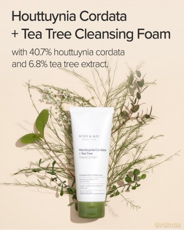 Cleansing foam for problematic skin Houttuynia Cordata + Tea Tree Cleansing Foam 150 ml