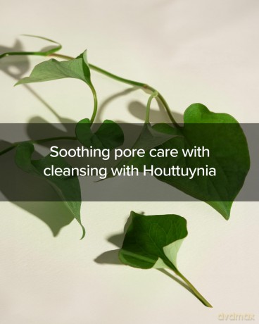 Cleansing foam for problematic skin Houttuynia Cordata + Tea Tree Cleansing Foam 150 ml