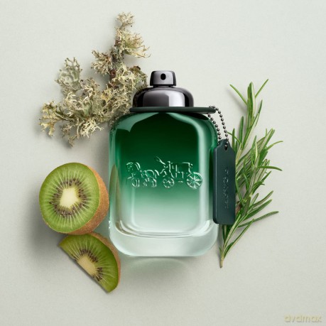 Coach Green - woda toaletowa - Volume: 100 ml