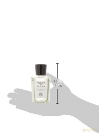 Colonia - aftershave water - Volume: 100 ml
