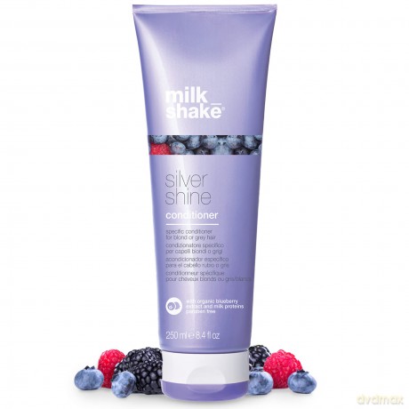 Conditioner for blonde and gray hair Silver Shine Conditioner - Volume: 250 ml
