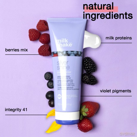 Conditioner for blonde and gray hair Silver Shine Conditioner - Volume: 250 ml