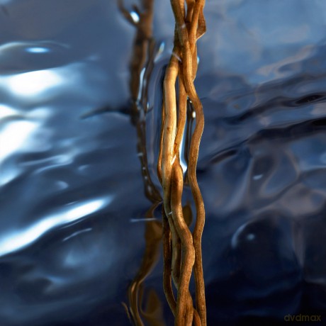 Cool Water Reborn - woda toaletowa - Volume: 75 ml