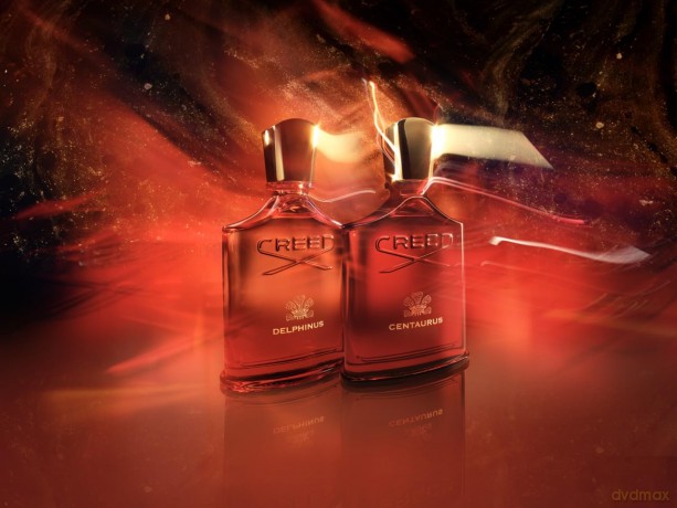 Delphinus - woda perfumowana - Volume: 50 ml