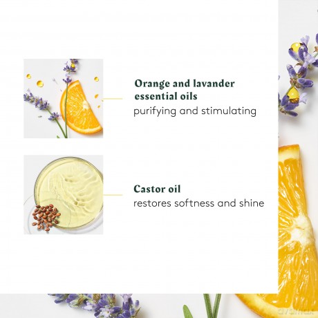 Energizing oil for hair strength and vitality Complexe 5 Energizing Concentrate 50 ml