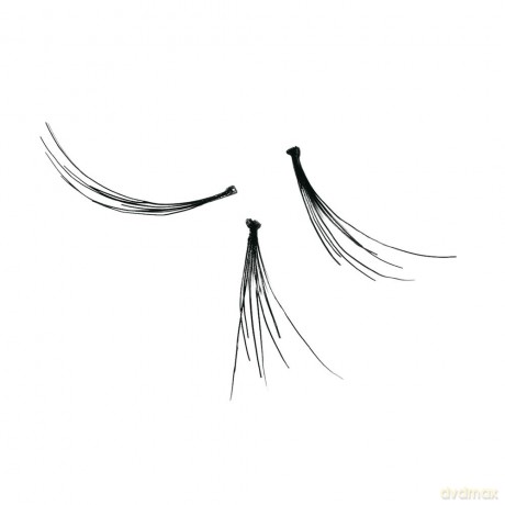 False eyelashes in clusters Permanent Lashes - Variant: 2 Medium