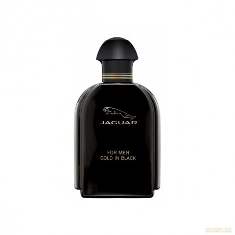 For Men Gold In Black - woda toaletowa - Volume: 100 ml