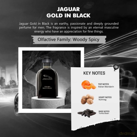 For Men Gold In Black - woda toaletowa - Volume: 100 ml