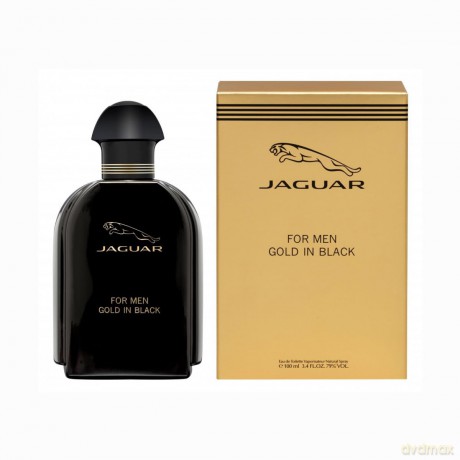 For Men Gold In Black - woda toaletowa - Volume: 100 ml