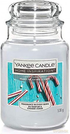 Yankee Candle Świeca Candy Cane Forest 538g