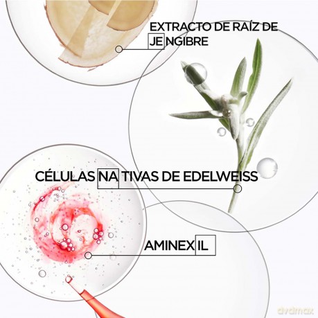 Intensive treatment for weak hair with a tendency to fall out Genesis Ampoules Cure Anti-Chute Fortifiantes 10 x 6 ml