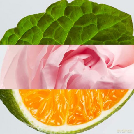 Lacoste L.12.12. Rose - woda perfumowana - Volume: 35 ml