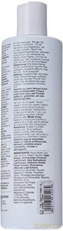 Leave-in conditioner The Conditioner - Volume: 500 ml