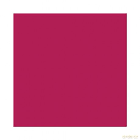 Liquid lipstick Powder Kiss Liquid Lipcolor 5 ml - Shade: 994 Make Love to the Camera