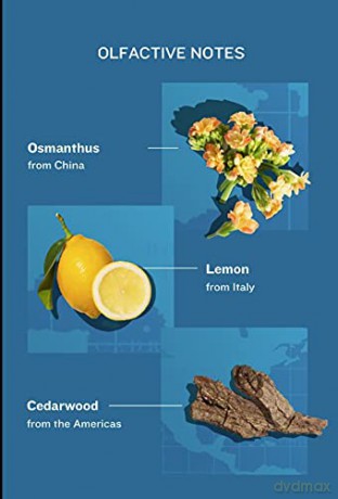 Love Osmanthus - parfm - Volume: 100 ml