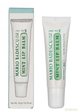 Moisturizing lip balm with mint Mint Lip Balm 10 g