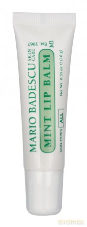 Moisturizing lip balm with mint Mint Lip Balm 10 g