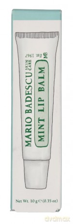 Moisturizing lip balm with mint Mint Lip Balm 10 g