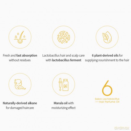 Moisturizing perfumed hair oil 6 Salon Lactobacillus Hair Perfume Oil 66 ml