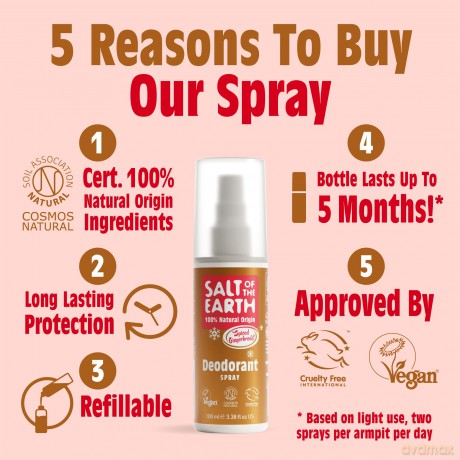Natural deodorant spray Spiced Gingerbread Deodorant Spray 100 ml
