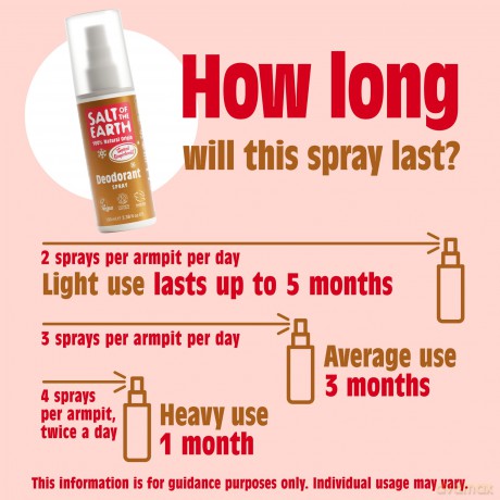 Natural deodorant spray Spiced Gingerbread Deodorant Spray 100 ml