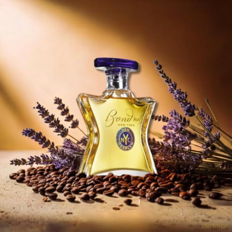 New Haarlem - woda perfumowana - Volume: 100 ml
