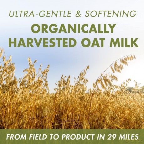 Oats solid shampoo Shampoo Bar 80 g