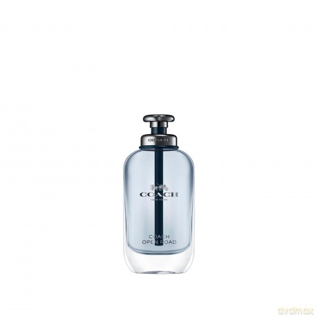 Open Road - woda toaletowa - Volume: 60 ml