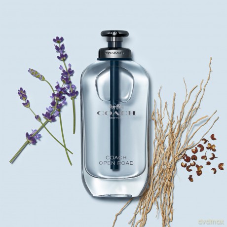 Open Road - woda toaletowa - Volume: 60 ml
