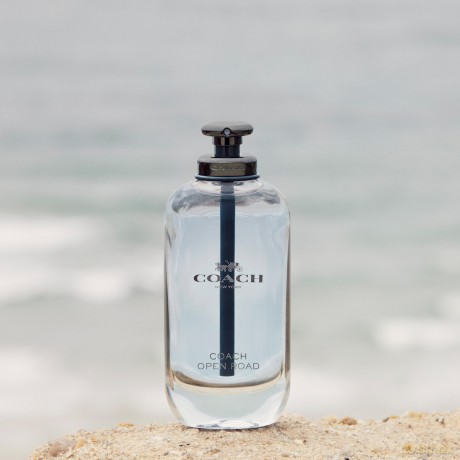 Open Road - woda toaletowa - Volume: 60 ml