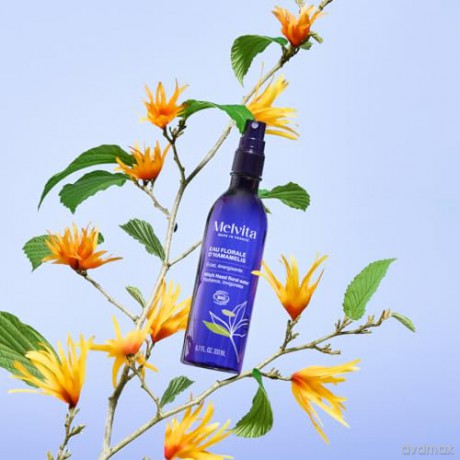 Organic floral water from elf Eau Florale d`Hamamelis Hazel Floral Water 200 ml