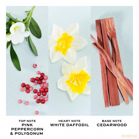 Perfect - woda toaletowa - Volume: 30 ml