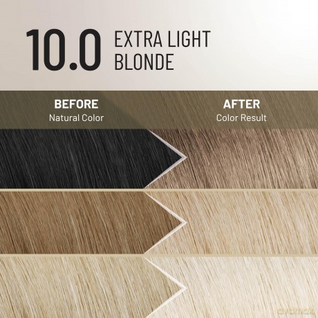 Permanent hair color Plex Rebuilder Permanent Color Cream - Shade: 10.0