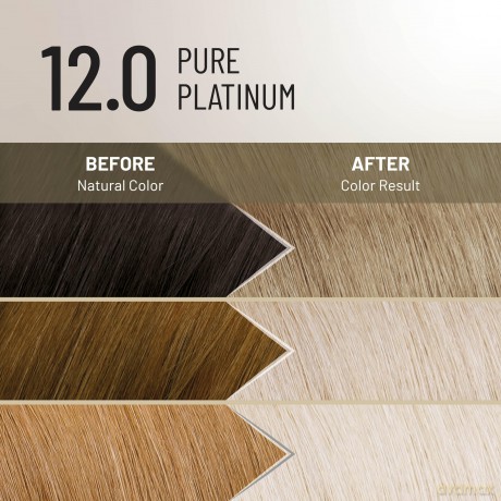 Permanent hair color Plex Rebuilder Permanent Color Cream - Shade: 12.0