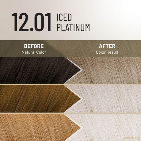 Permanent hair color Plex Rebuilder Permanent Color Cream - Shade: 12.01