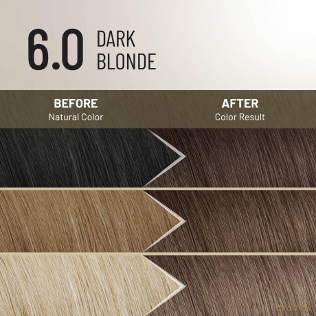 Permanent hair color Plex Rebuilder Permanent Color Cream - Shade: 6.0