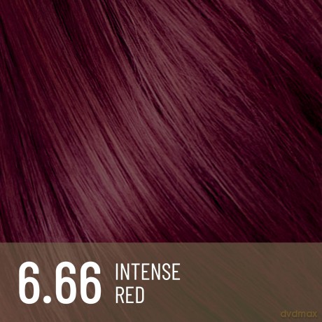 Permanent hair color Plex Rebuilder Permanent Color Cream - Shade: 6.66
