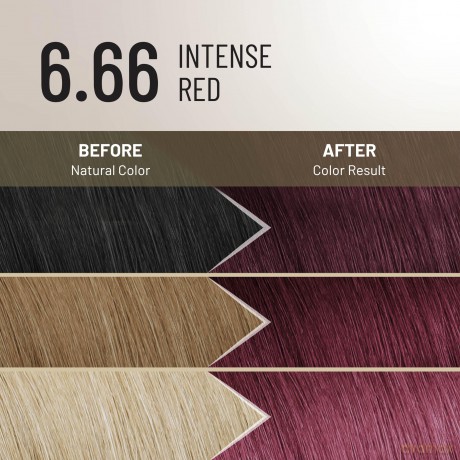 Permanent hair color Plex Rebuilder Permanent Color Cream - Shade: 6.66