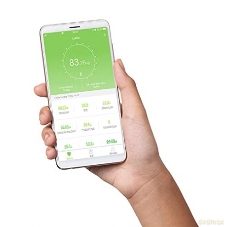 Personal diagnostic scale VO4011 Perfect Health
